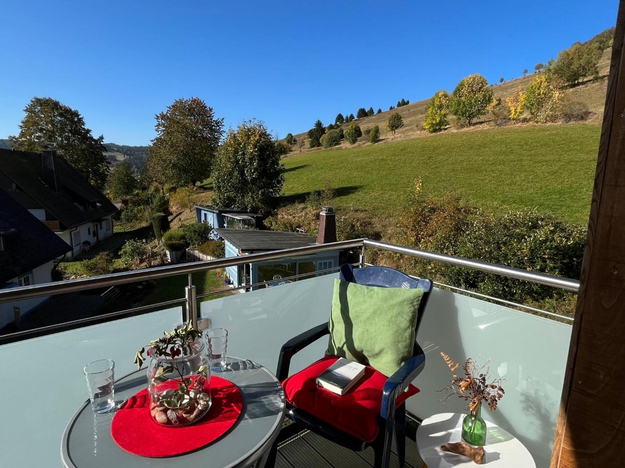 Apartment Schwarzwaldblick I By Interhome Бернау им Шварцвалд Екстериор снимка